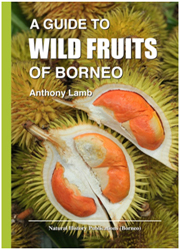 A Guide To Wild Fruits Of Borneo