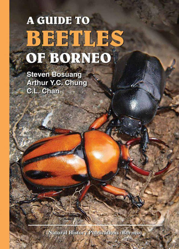A GUIDE TO BEETLES OF BORNEO