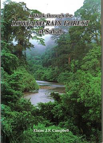 A walk through the lowland rain forest of Sabah