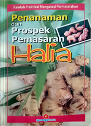 PENANAMAN DAN PROSPEK PEMASARAN HALIA