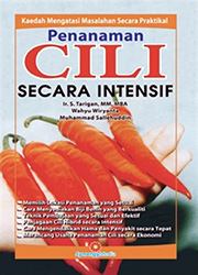 PENANAMAN CILI SECARA INTENSIF