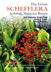 The Genus Schefflera In Sabah, Malaysia Borneo 